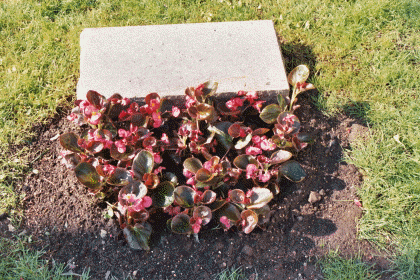 Cemetery Floral Co